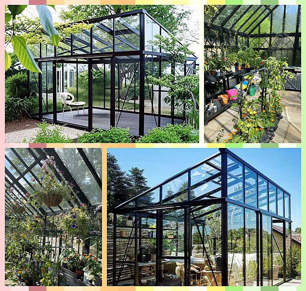 Glass Greenhouses: A Timeless Solution for Modern Gardening